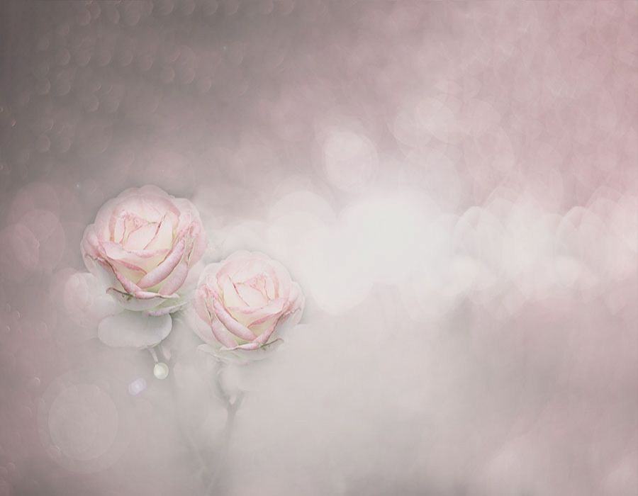 Fondo con rosas en tonos rosaceos y grises
